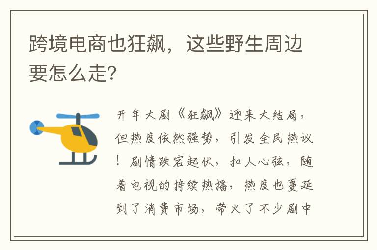  跨境电商也狂飙，这些野生周边要怎么走？