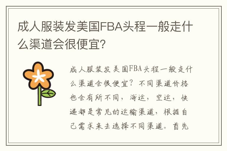  成人服装发美国FBA头程一般走什么渠道会很便宜？