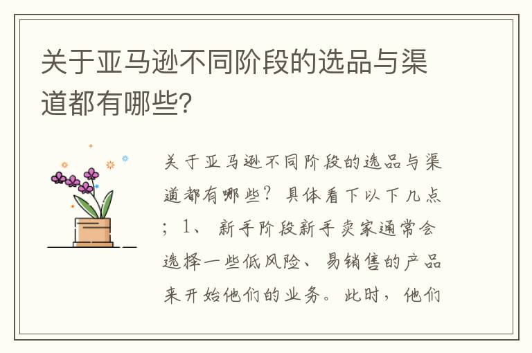  关于亚马逊不同阶段的选品与渠道都有哪些？