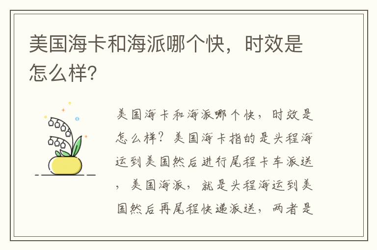  美国海卡和海派哪个快，时效是怎么样？