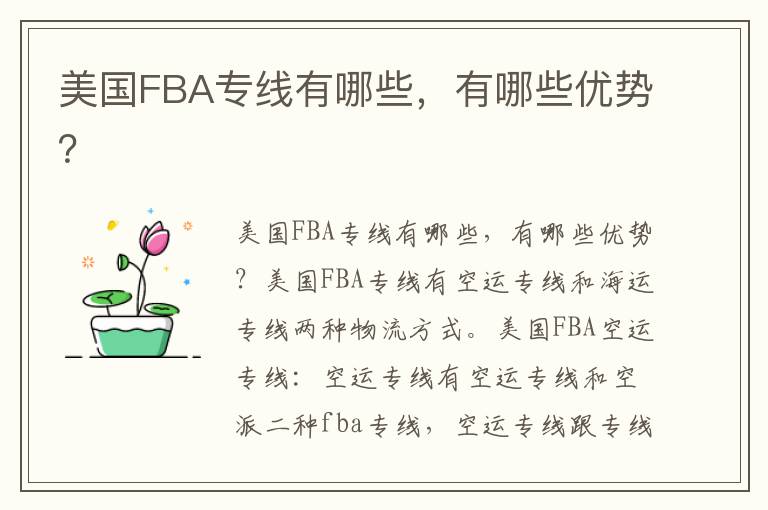  美国FBA专线有哪些，有哪些优势？