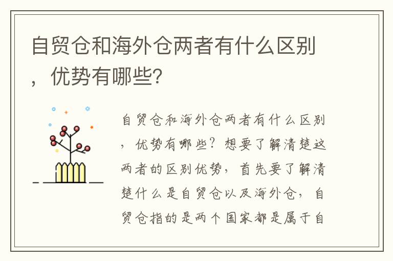 自贸仓和海外仓两者有什么区别，优势有哪些？